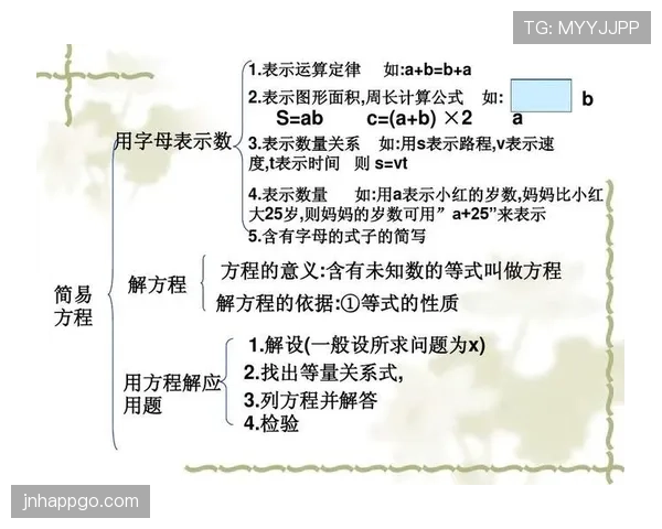 第四官员在裁判体系中的职责与权限：换人、记时与技术区管理